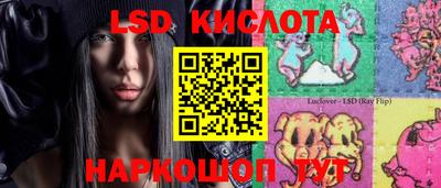 дмт Новокубанск