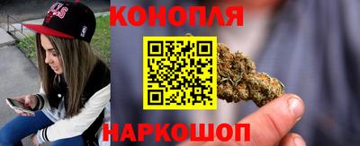spice Новозыбков