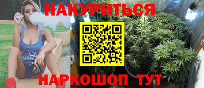 дмт Новокубанск